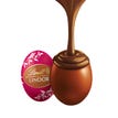 Double Chocolate LINDOR Eggs Case
